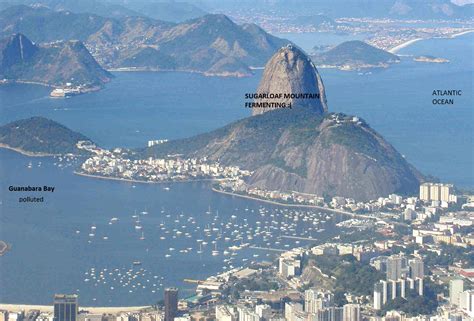 Scientists Warn: Sugarloaf Mountain Fermenting In Polluted Rio de Janeiro Bay | FM Observer ...