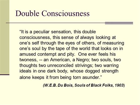 🎉 Dubois double consciousness. W. E. B. Du Bois, THE SOULS OF BLACK ...