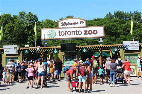 Are Dogs Allowed At The Toronto Zoo