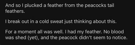 Redditor Shares The Hilarious Story Of An Incident With An Angry ...