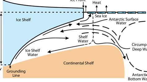 Schematic showing circulation over the Antarctic continental shelf and ...