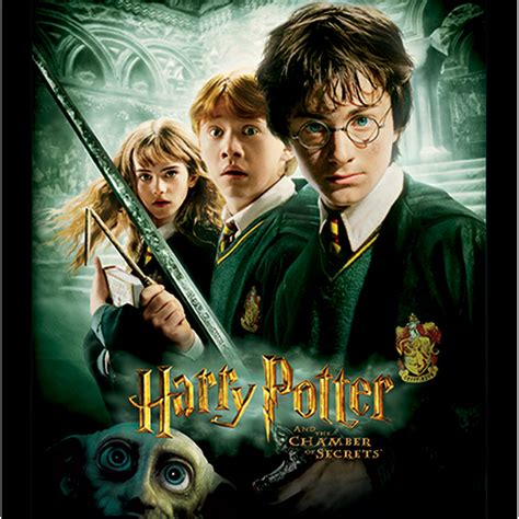 Harry Potter (Chamber Of Secrets) Framed Print