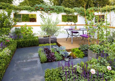 How to Decorate Your Patio with Plants