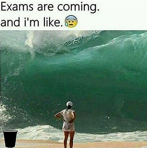 exam tension | Exams funny, Stress quotes funny, Exams memes