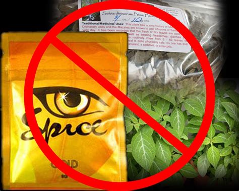 Salvia, Spice use now punishable under UCMJ > Joint Base Langley-Eustis ...