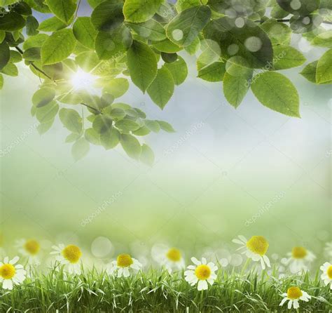 94 Background Nature Design - MyWeb