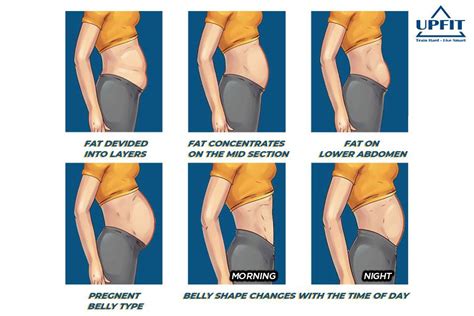 5 TYPES OF BELLY FAT DUE TO DAILY ROUTINE - UPFIT