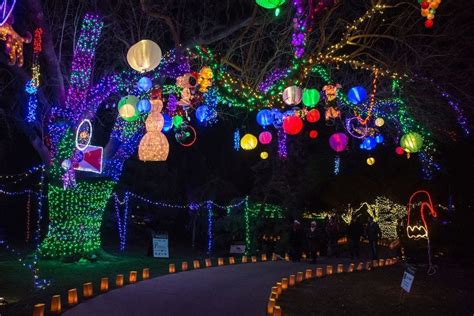 Norfolk Botanical Gardens Christmas Lights 2021