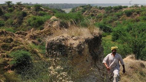 Centre to convert ravines of Chambal region into arable land with World Bank support: Tomar ...