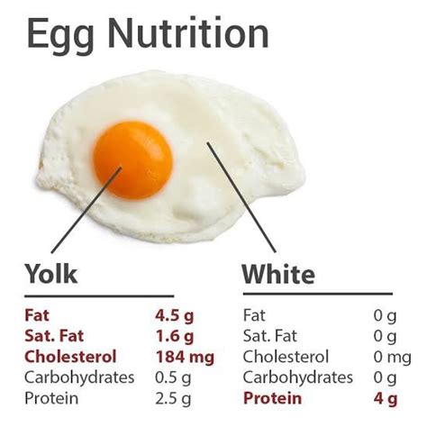 What Is The Main Protein In Egg White? Unveiling The Key Ingredient