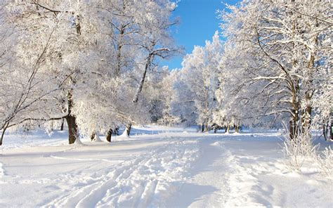 Winter Wallpapers For PC - Wallpaper Cave