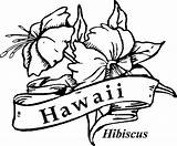 Hawaii coloring Pages  Download For Free And Print sketch template