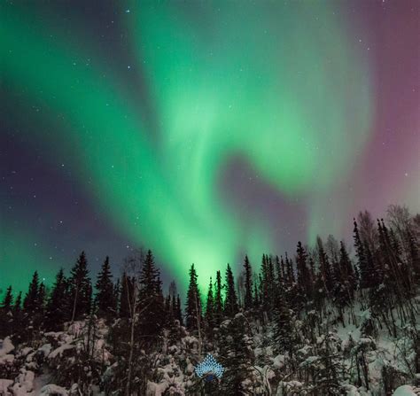 Northern Lights Photography: A Beginner's Guide