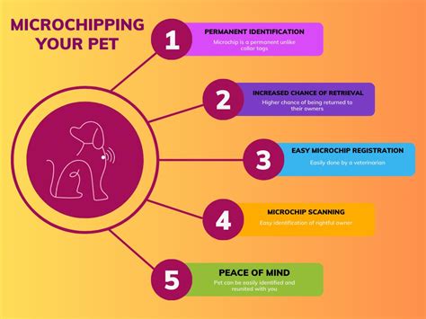 Microchipping your pet and its benefits | FanPaw