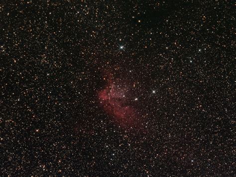 NGC 7380 – The Wizard Nebula – CORIUS Astronomy