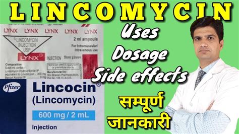 Lynx injection |lynx injection 2ml | Lincocin injection | Lincomycin injection uses, side ...