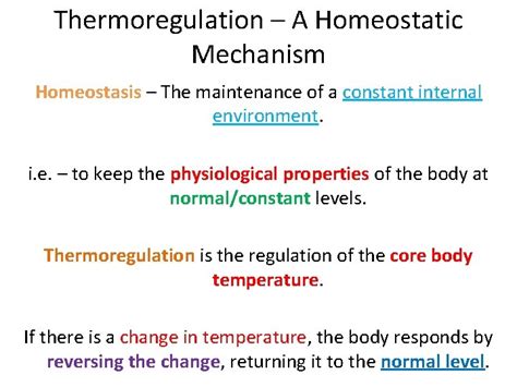 Thermoregulation Controlling Temperature WHAT IS THERMOREGULATION ...