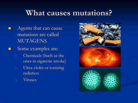 PPT - Gene Mutations PowerPoint Presentation, free download - ID:5334616