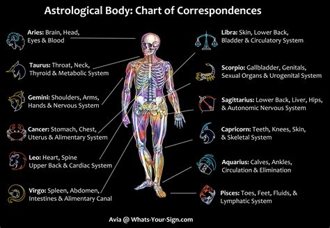 Astrology and Your Health: Zodiac Signs and Corresponding Body Parts ...