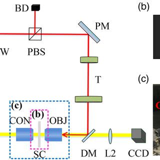 (Color online) (a) Schematic layout for OT (CW laser, continuous-wave... | Download Scientific ...