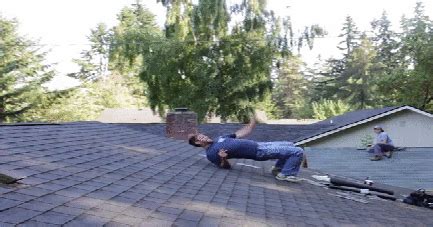 Do you even know how to fix my roof? : gifs