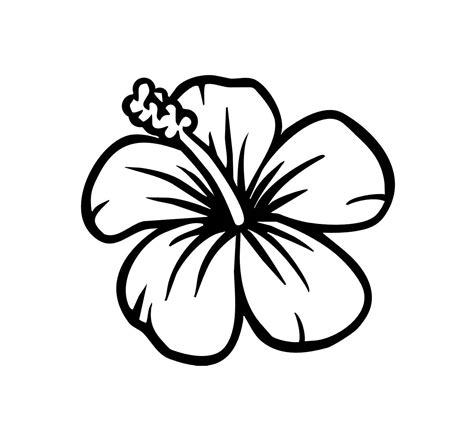 Hibiscus Flower Drawing - ClipArt Best