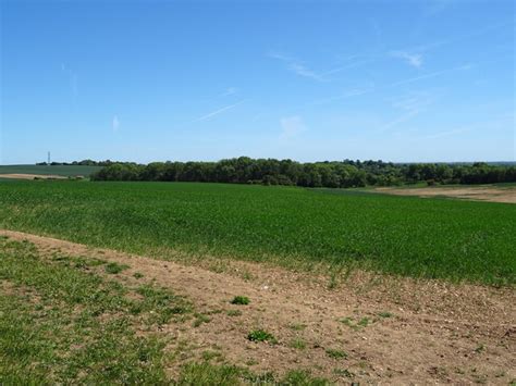Crop field towards Moor Close Holt... © JThomas cc-by-sa/2.0 ...