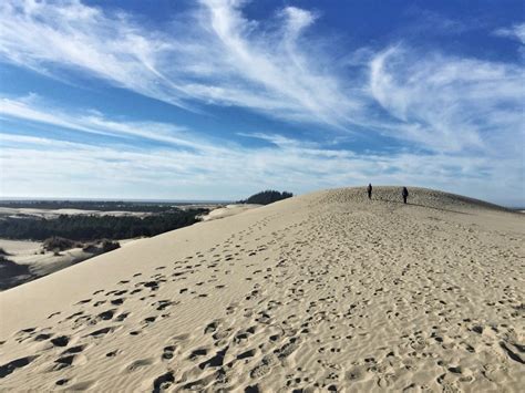 Oregon Dunes National Recreation Area | Oregon Sand Dunes | John Dellenback Dunes Trail - The ...