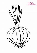 Onion Coloring Pages sketch template