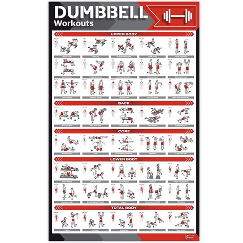 Palace Learning Dumbbell Workout Exercise Poster Ubuy Nepal | lupon.gov.ph