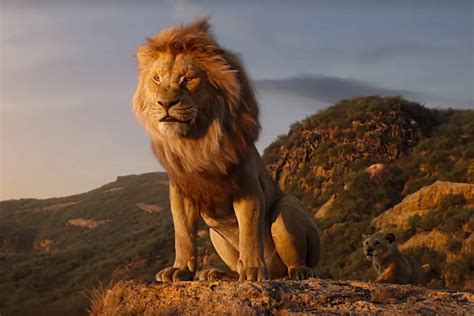 Disney Launches Protect the Pride Campaign Saving Lions in Celebration ...