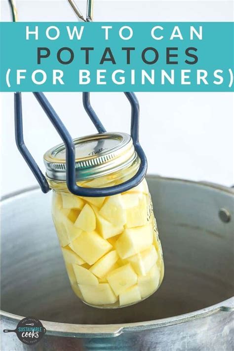 How to Can Potatoes For Beginners in 2021 | Canned potatoes, Canning potatoes, Pressure canning ...