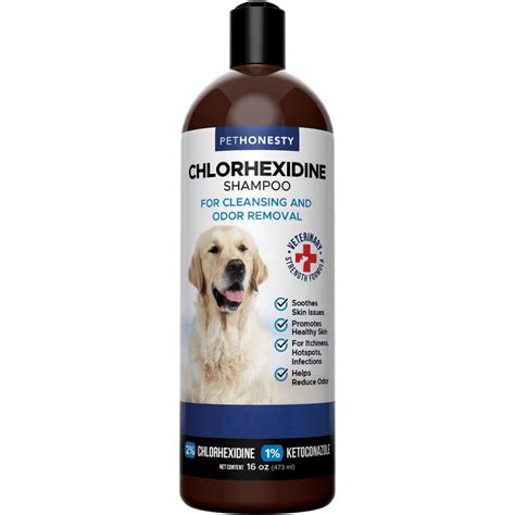 The Best Dog Shampoo for Itchy Skin - Finally Relief