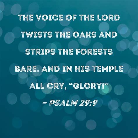 Psalm 29:9 The voice of the LORD twists the oaks and strips the forests ...