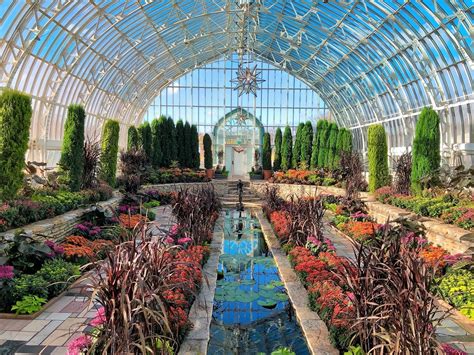 Fall Flower Show - Visit Virtually! - Como Zoo Conservatory