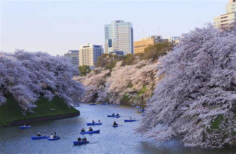 Tokyo Imperial Palace - GaijinPot Travel