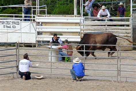 Would You Play Cowboy Poker? - Pulpconnection