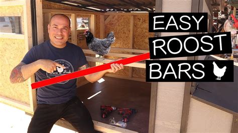 Adding Roost Bars to DIY Chicken Coop Chicken Roost, Diy Chicken Coop, Tool Sheds, Coops ...