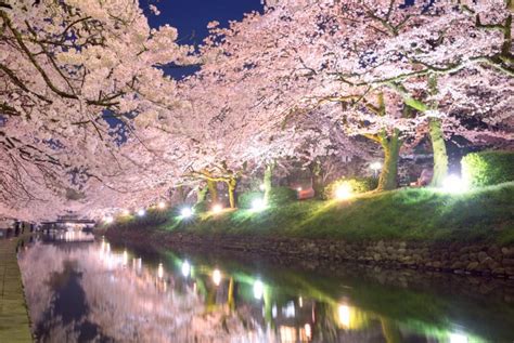 Matsukawa River Cherry Blossoms | Travel Japan - Japan National Tourism ...