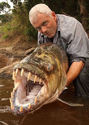 piranha with human teeth