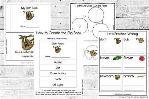 Sloth Life Cycle Printables - Simple Living. Creative Learning