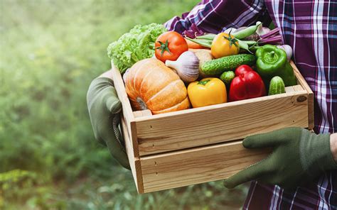 Офтальмологиня назвала найкращі продукти для здоров’я очей. Читайте на UKR.NET