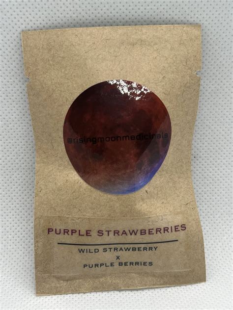 Rising Moon Seeds - Purple Strawberries - Brown Bag Farm Goods