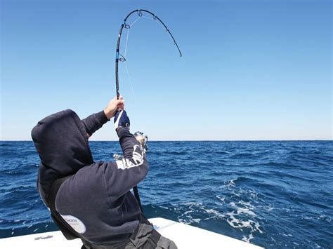 The Gear Required To Fish In Saltwater Successfully