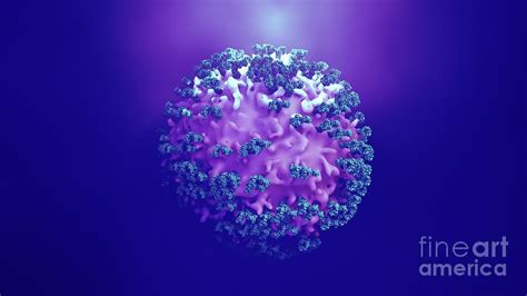 Antibodies Attacking Cancer Cell Photograph by Design Cells/science ...