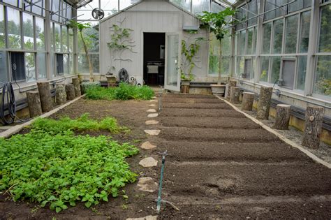 Preparing and Planting My Vegetable Greenhouse - The Martha Stewart Blog