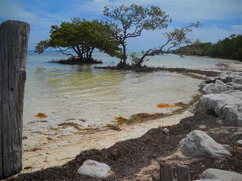 Anne's Beach in Islamorada: Worth a stop on drive through Keys