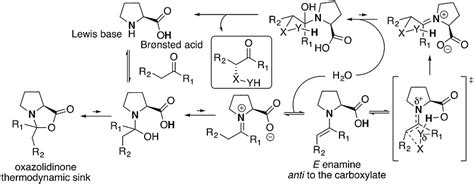 Scheme 1. A plausible proline catalysis mechanism. | Download ...