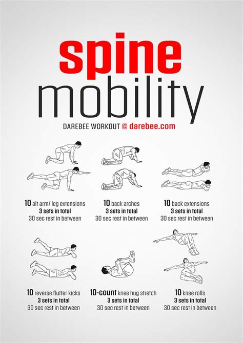 Spine Mobility Workout | Workout plan, Workout, Flexibility workout