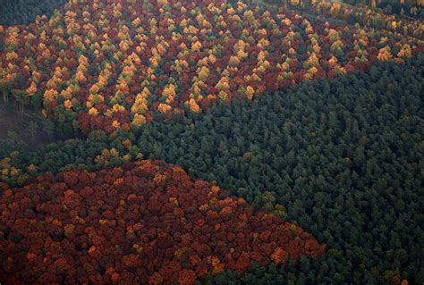 See the Breathtaking Colors of Germany in Autumn | TIME